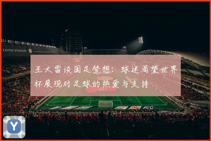 王大雷谈国足梦想：球迷渴望世界杯展现对足球的热爱与支持